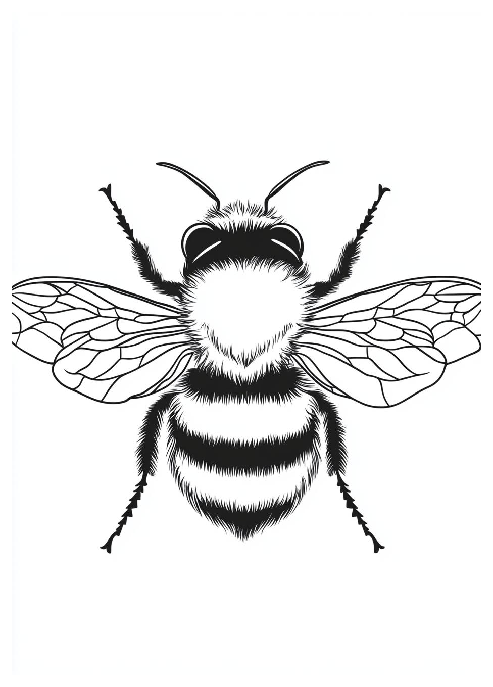 Bumblebee Színező 1
