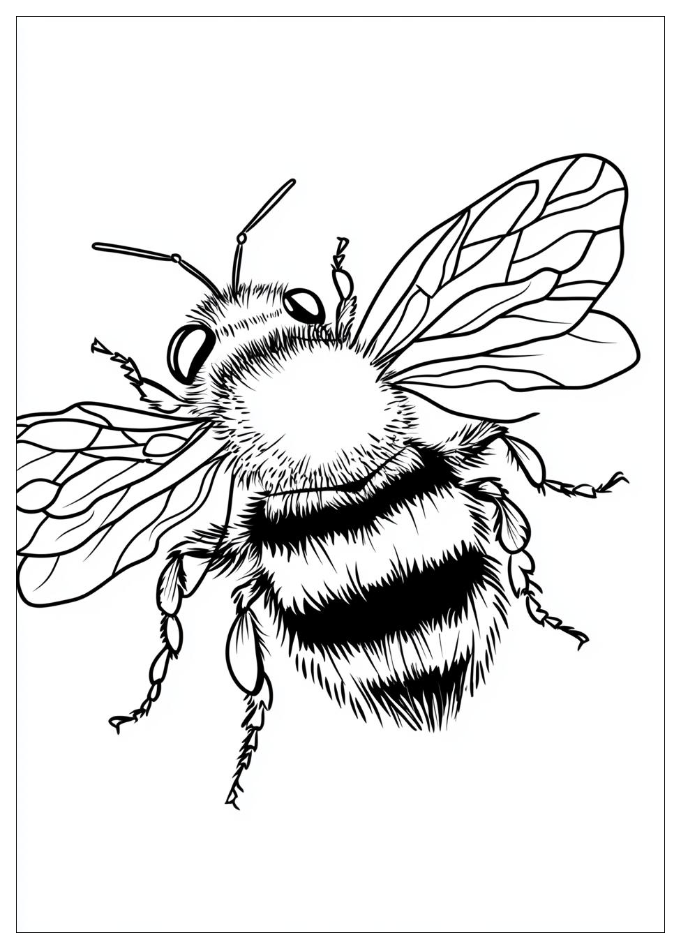 Bumblebee Színező 10