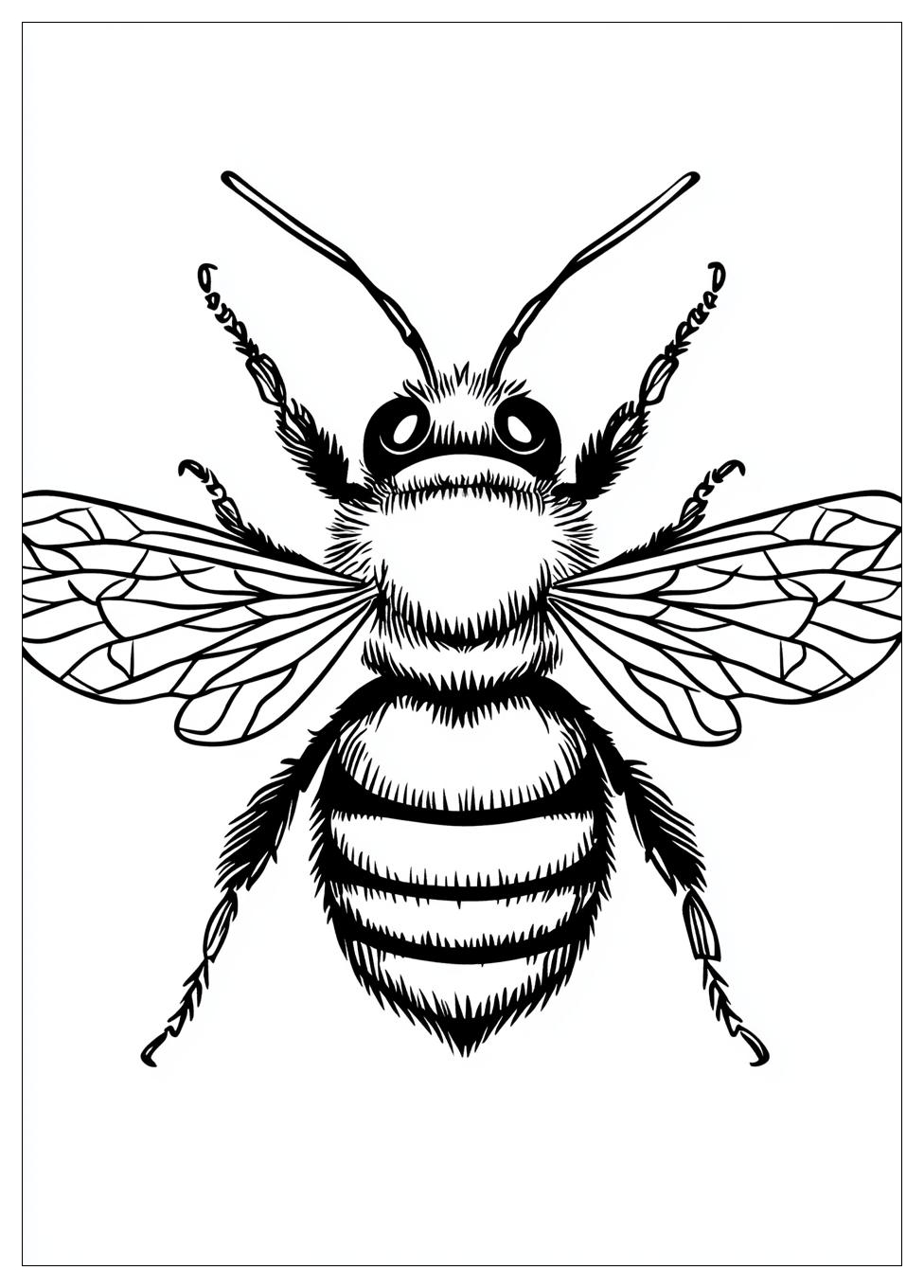 Bumblebee Színező 14