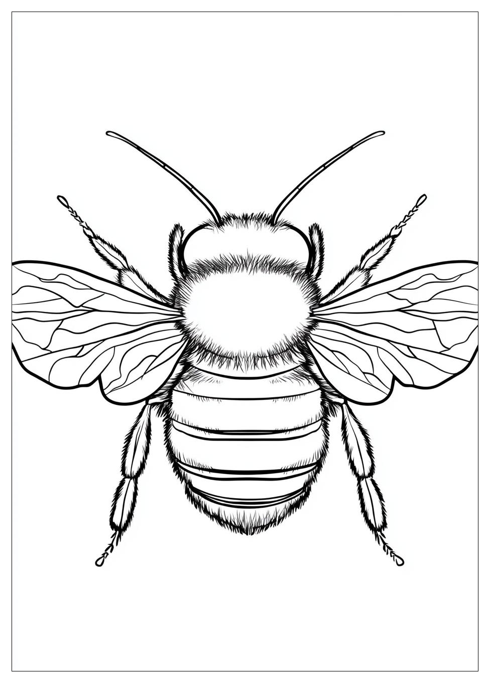 Bumblebee Színező 18