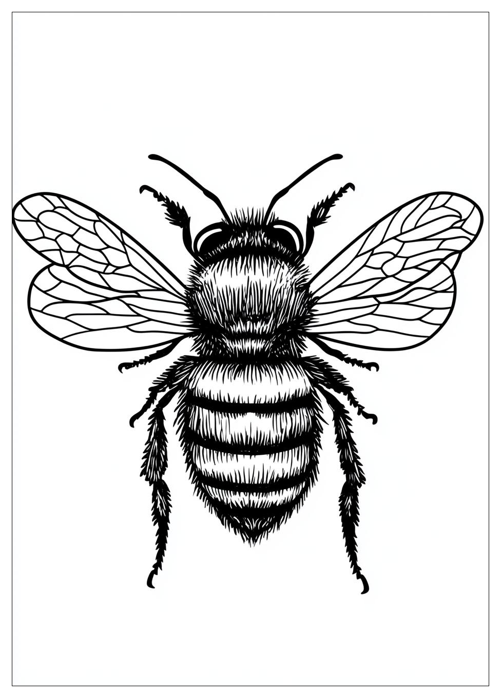 Bumblebee Színező 20