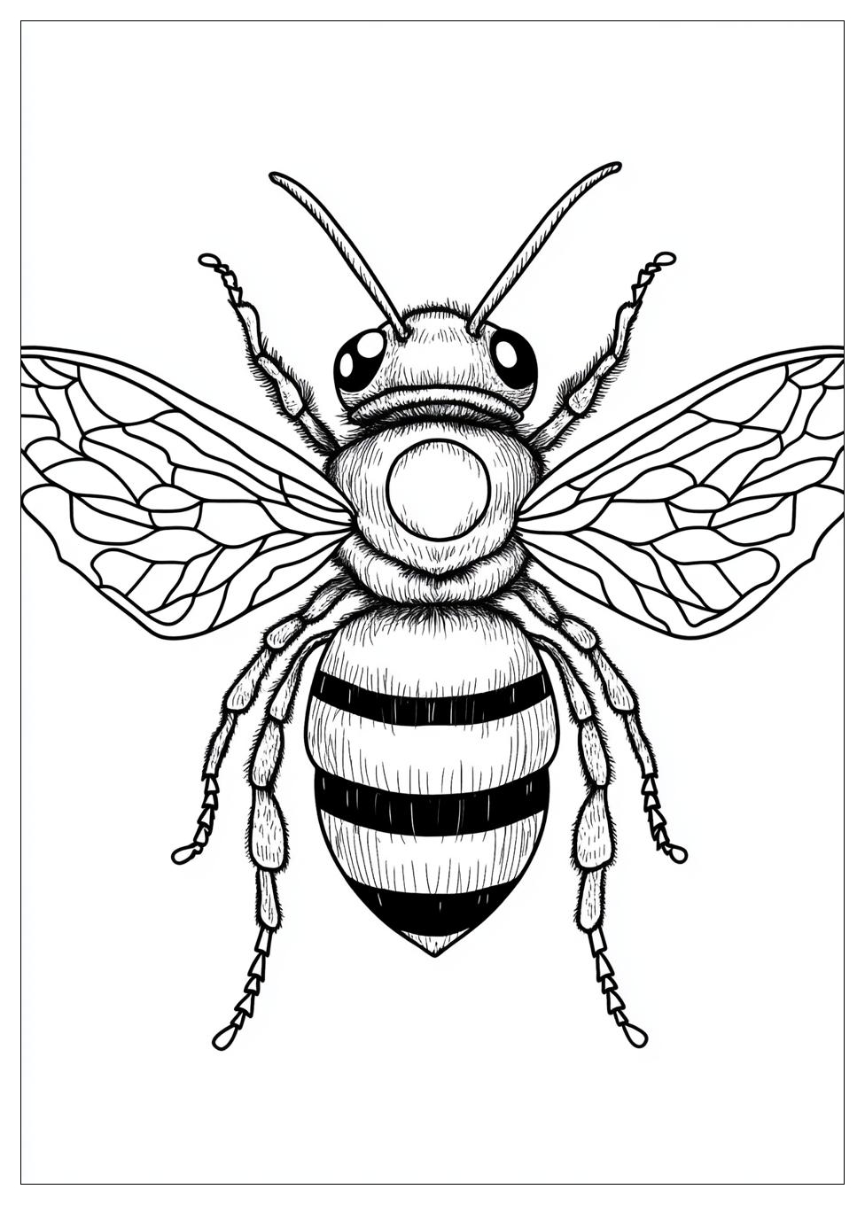 Bumblebee Színező 22