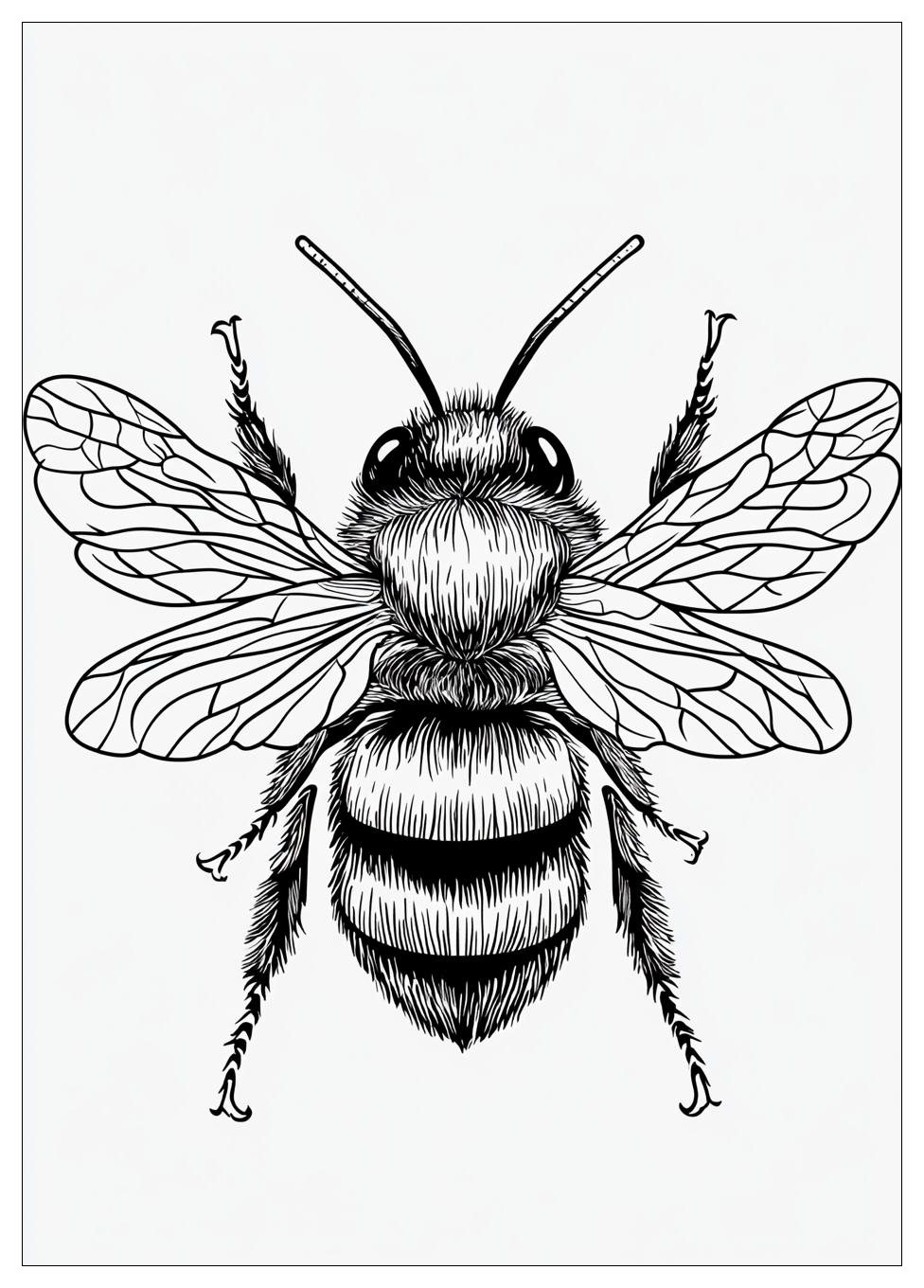 Bumblebee Színező 7