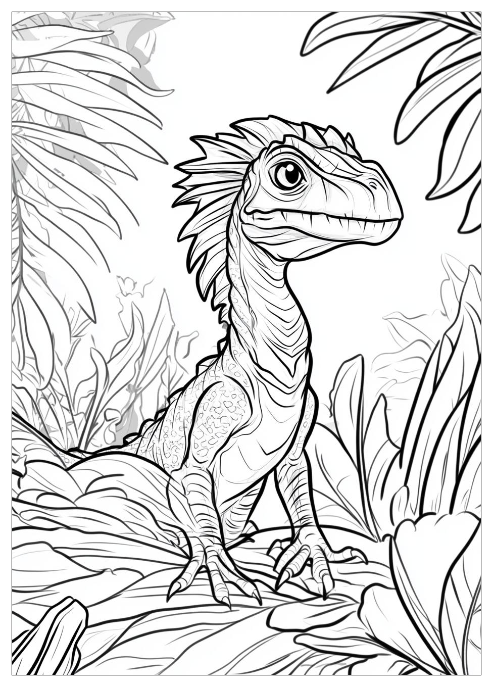 Dilophosaurus Színező 16