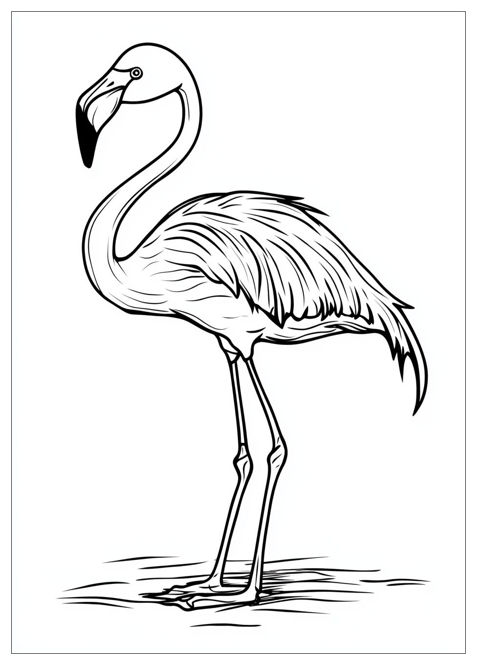 Flamingó Színező 1
