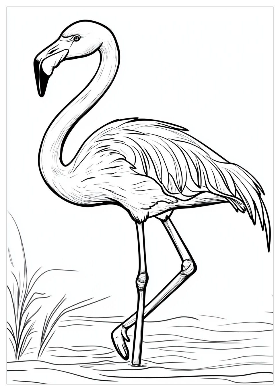 Flamingó Színező 13
