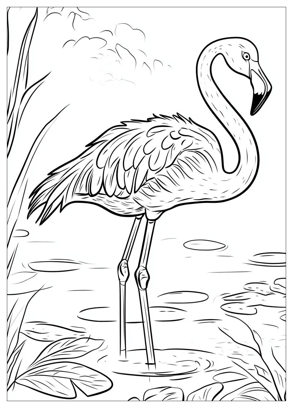 Flamingó Színező 18