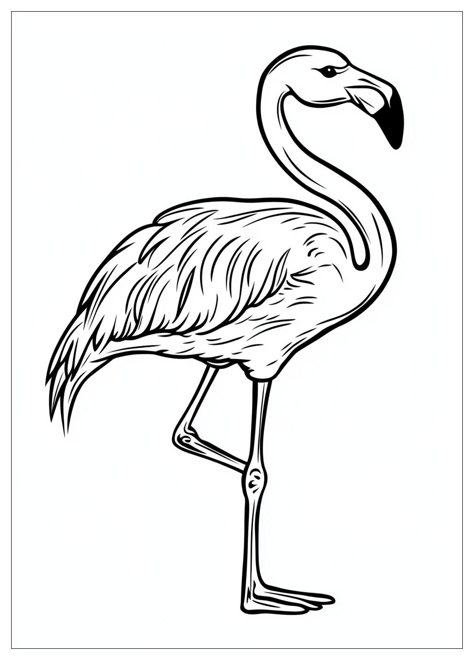 Flamingó Színező 8