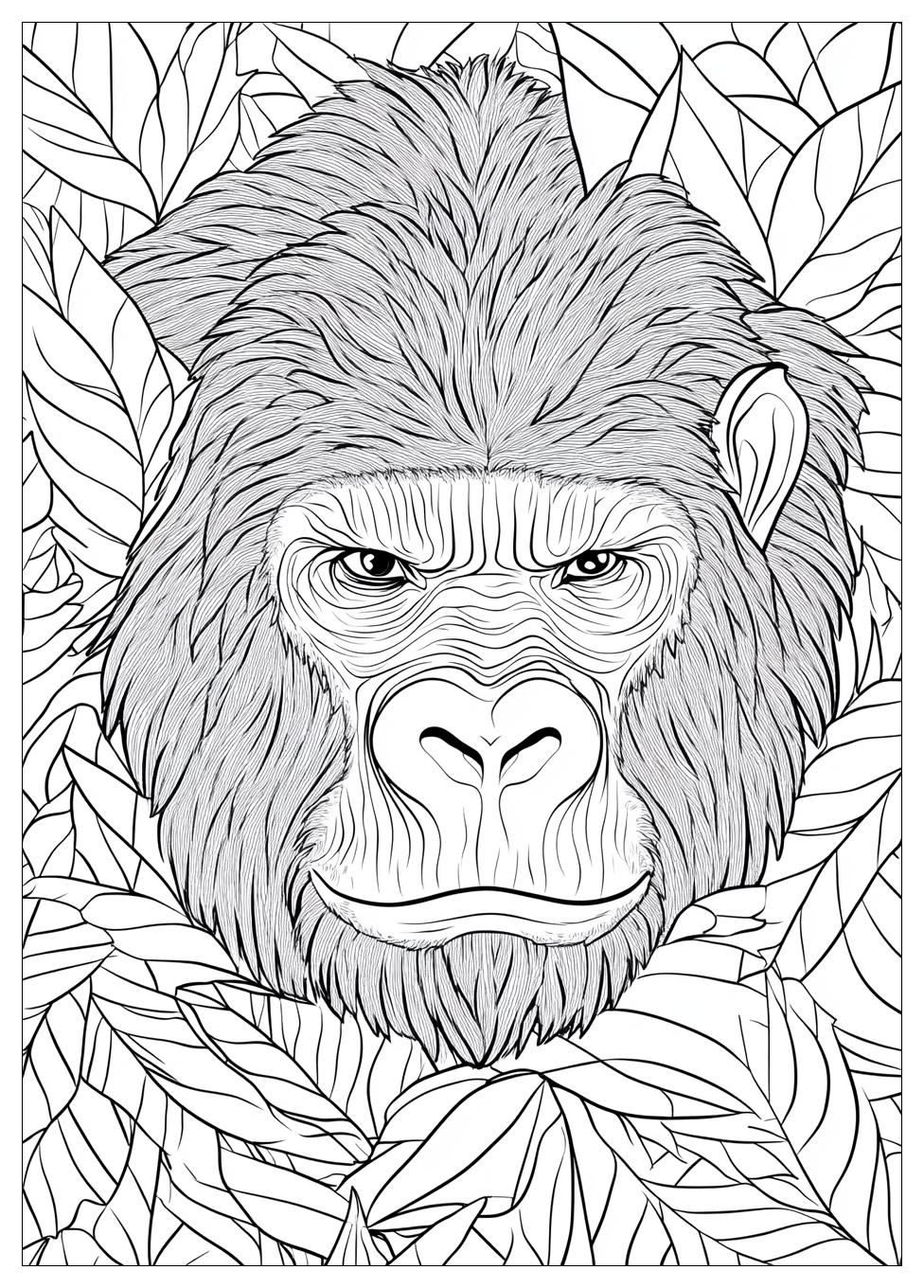Gorilla Színező 1