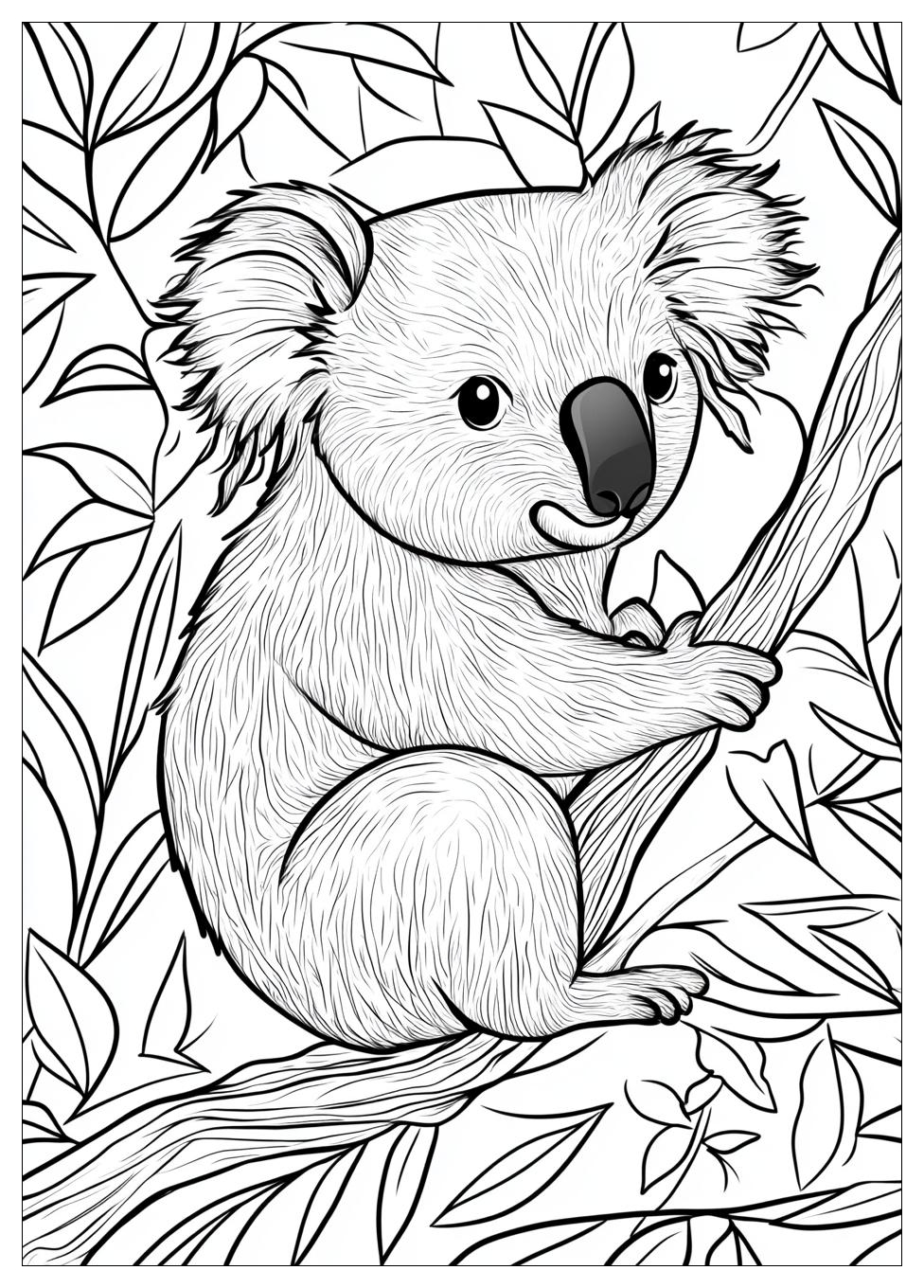 Koala Színező 20